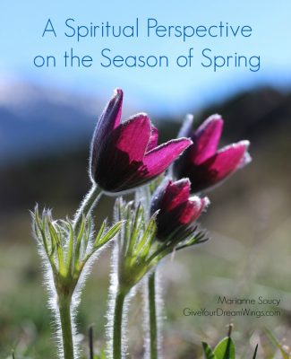 A spiritual perspective on the season of spring Marianne Soucy GIve Your Dream Wings
