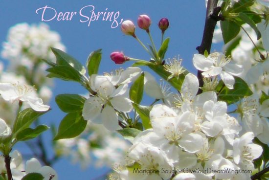 Dear Spring - Marianne Soucy Give Your Dream Wings