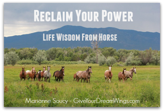 Give Your Dream Wings - Marianne Soucy - Horse Wisdom - Reclam your power