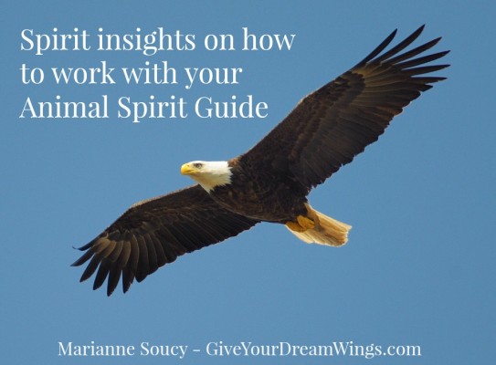 How to work with your power animal - Marianne Soucy - Give Your Dream Wings
