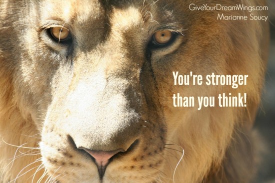 Lion - you are stronger than you think - Marianne Soucy Give Your Dream Wings