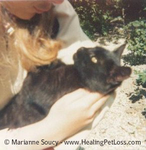 Marianne Soucy and Little-black-cat-2-web-291x300