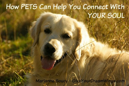 Soul blog 2 - Pets and your soul - Give Your Dream Wings and Healing Pet Loss Marianne Soucy 940
