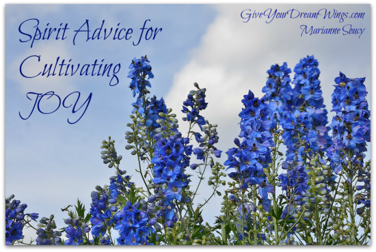 Spirit Advice for Cultivating Joy - Marianne Soucy sh