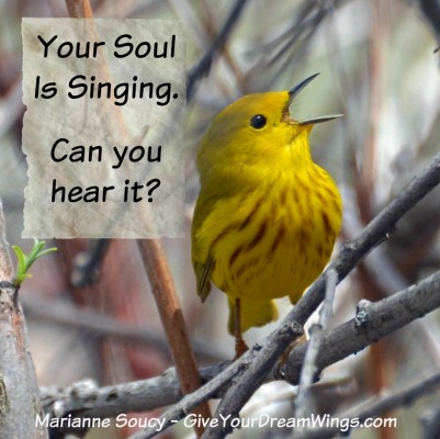 Yellow Warbler - your soul is singing - Marianne Soucy Give Your Dream Wings 940